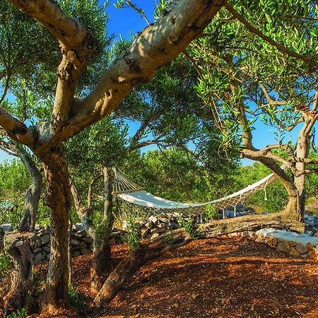Luxury Villa Vela Rina Mali Drvenik Εξωτερικό φωτογραφία