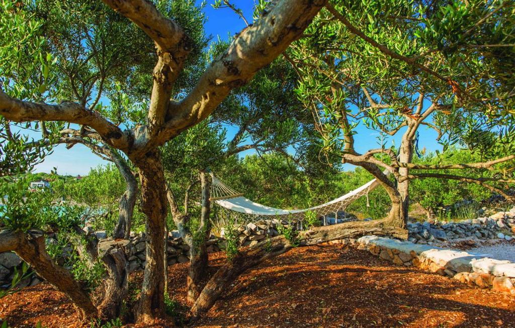 Luxury Villa Vela Rina Mali Drvenik Εξωτερικό φωτογραφία